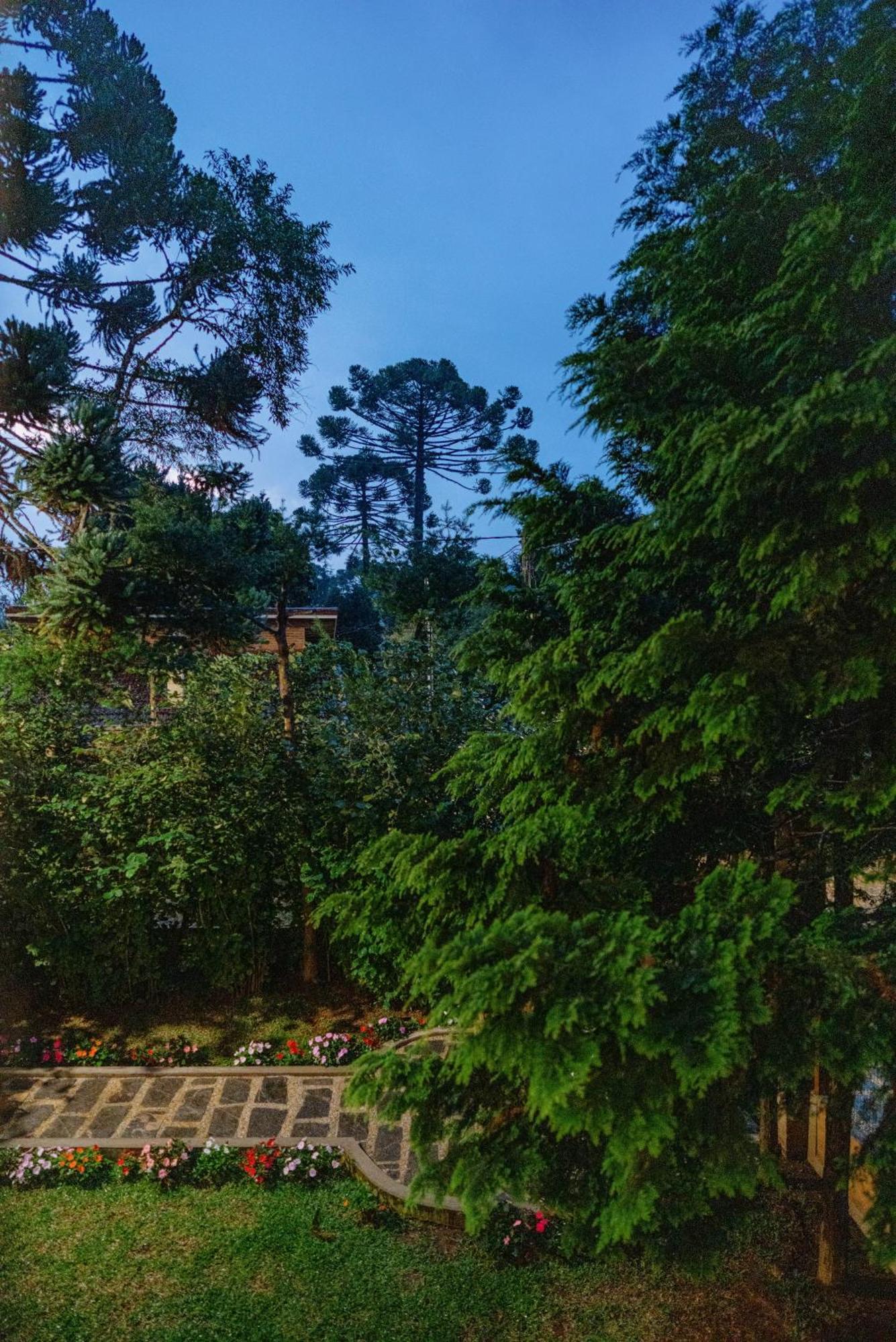 Villetta Lucca 몬테베르데 외부 사진